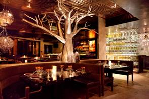 The Boo Ball in West Hollywood at Tortilla Republic