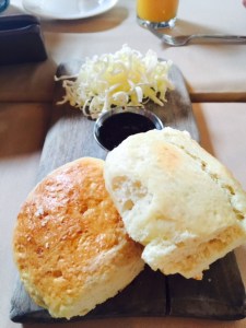 (Photo by Jill Weinlein)