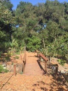 (photo by Jill Weinlein)