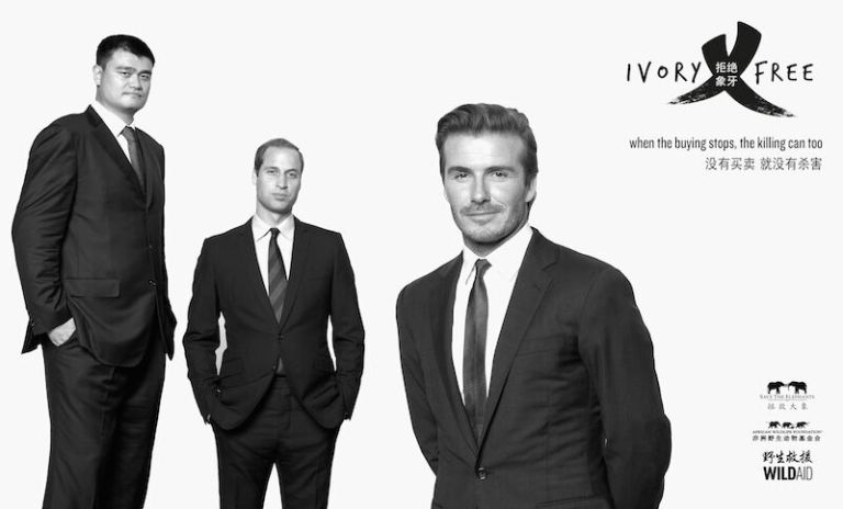 Photo courtesy of WildAid