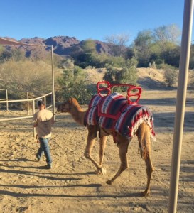 (Photo by Jill Weinlein)