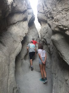 (Photo by Jill Weinlein)