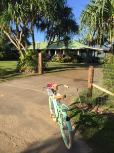 (The home films in The Descendants with George Clooney - Photo: Jill Weinlein)