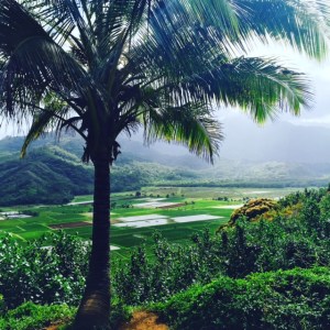 (Photo by Jill Weinlein)