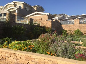 Chef Craig Strong's Garden