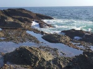 Lots of sandy beach for walks and tide pools to explore.