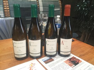 (Domaine Des Ronces makes a great sparkling wine - Photo by Jill Weinlein)