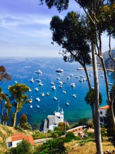 (Photo by Jill Weinlein)