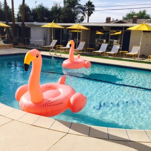 (Photo by Jill Weinlein)