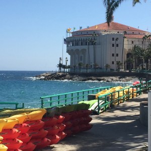 (Photo by Jill Weinlein)