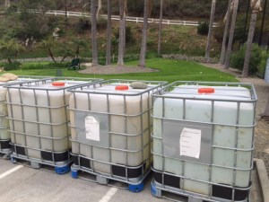 (Photo by Jill Weinlein)