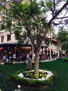 The American on Brand is the #1 Entertainment complex in Glendale.