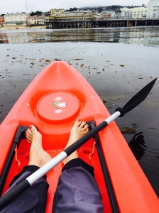 Photo by Jill Weinlein