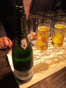 Photo by Jill Weinlein