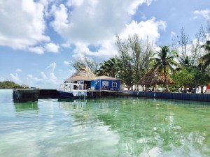 Photo by Jill Weinlein