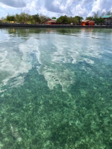 Photo by Jill Weinlein