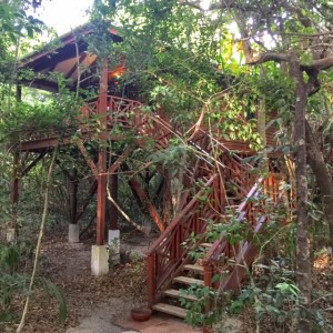 Photo by Jill Weinlein