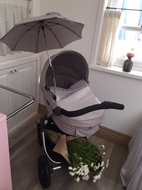 Stokks Pram - Photo by Jill Weinlein 