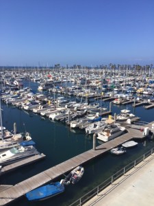 Photo by Jill Weinlein