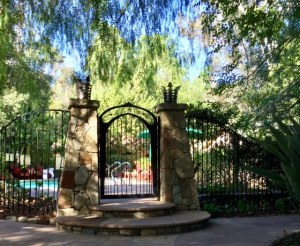 Photo by Jill Weinlein