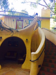 Photo by Jill Weinlein