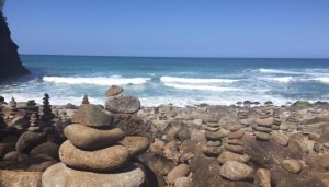 Photo by Jill Weinlein