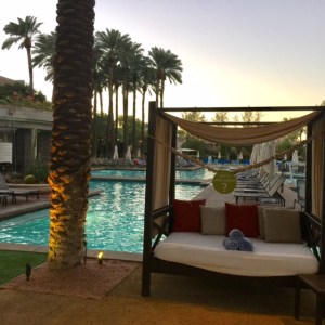 Photo by Jill Weinlein