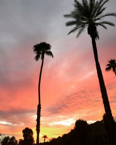 Sunrise in Indian Wells - Photo by Jill Weinlein