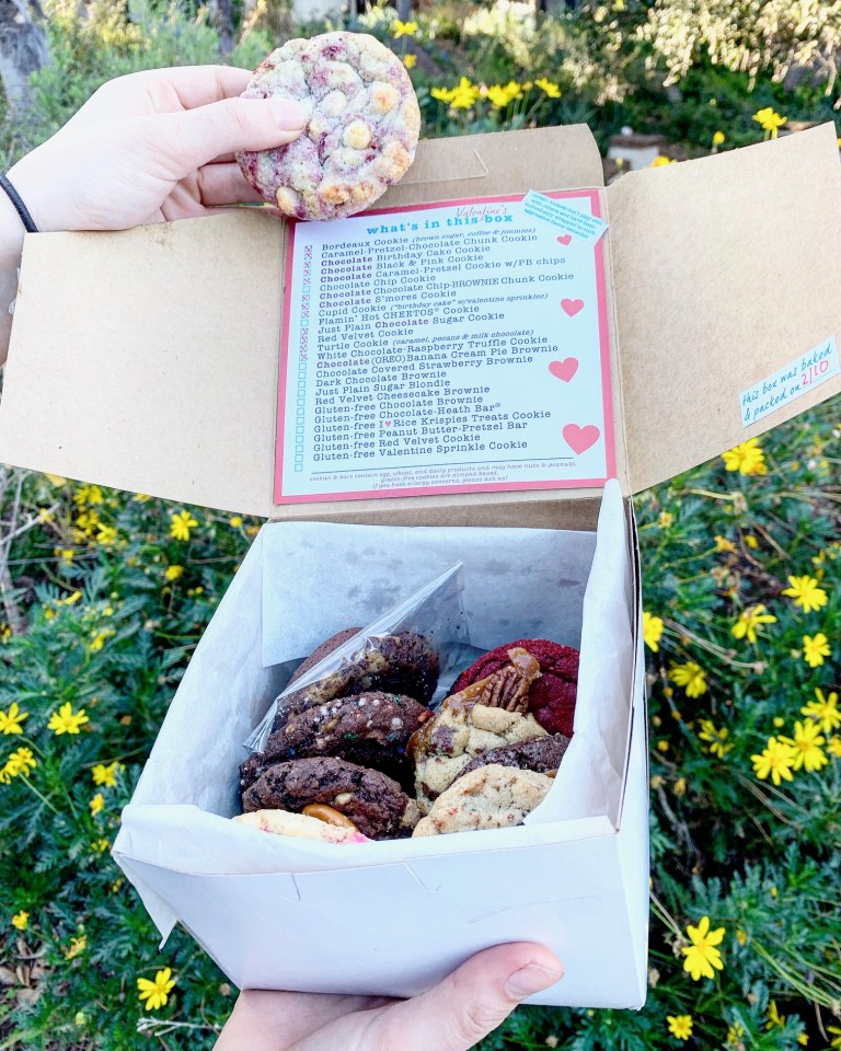 387E8093-92BD-4645-AD44-C7E4BB153181