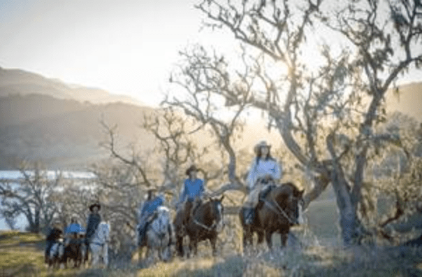 Screen Shot 2020-06-10 at 1.17.16 PM