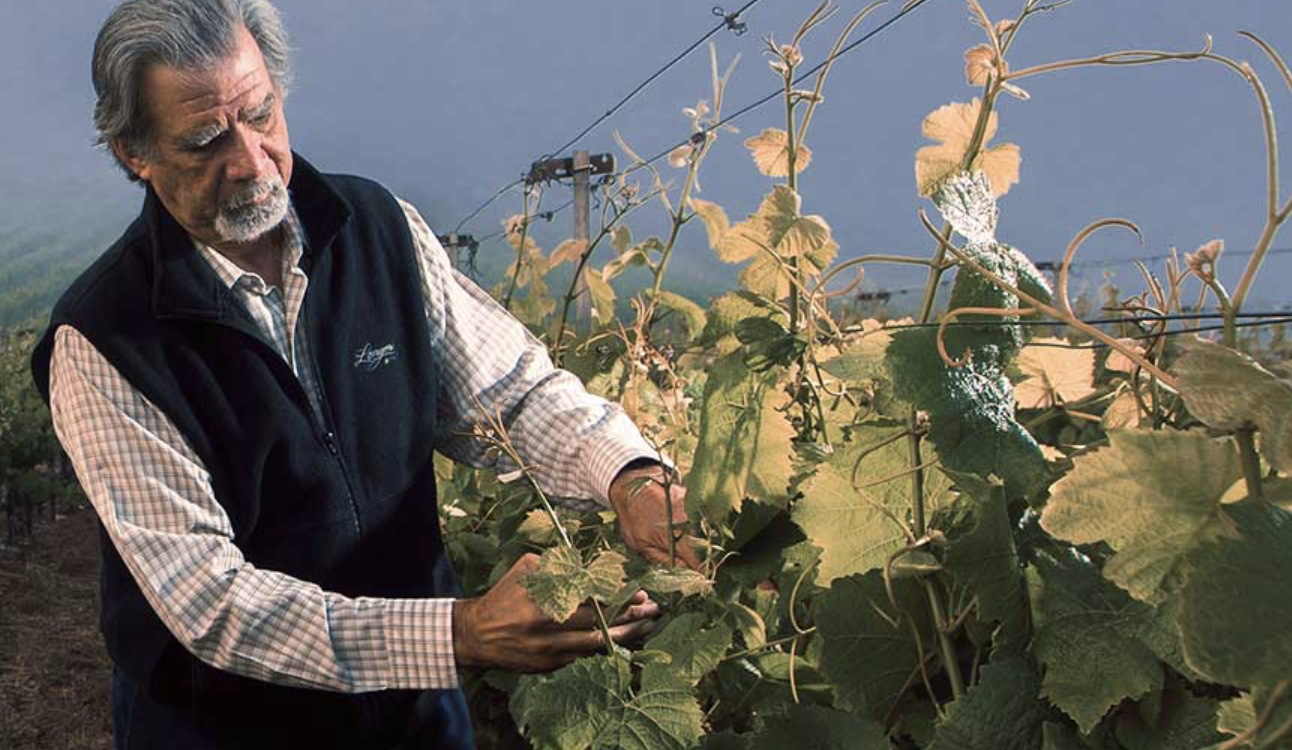 Screen Shot 2020-08-19 at 10.51.18 AM