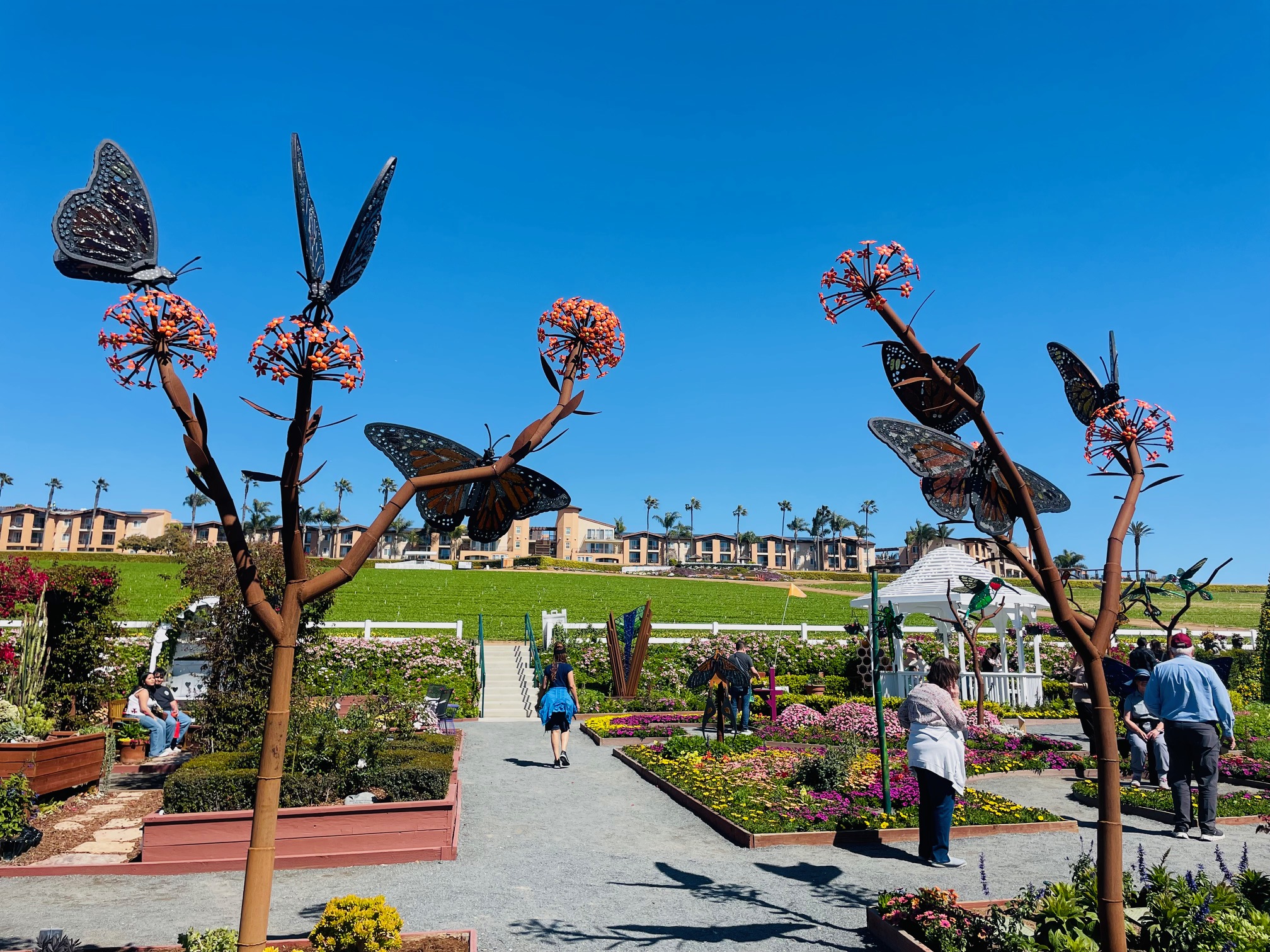 Glass In Flight At The Flower Fields at Carlsbad Ranch – Dine